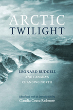 Arctic Twilight cover